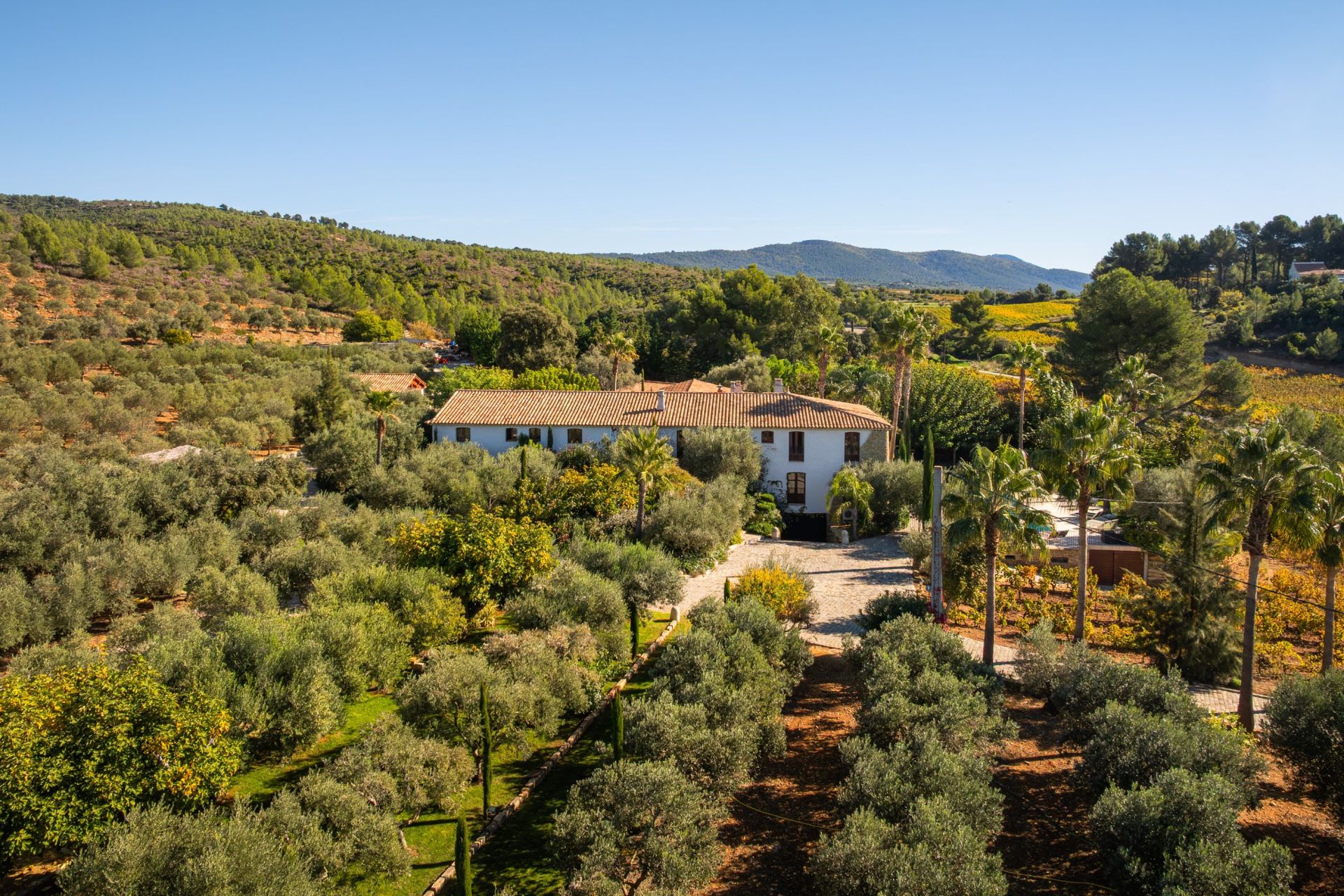 house 20 Rooms for sale on LE CASTELLET (83330)
