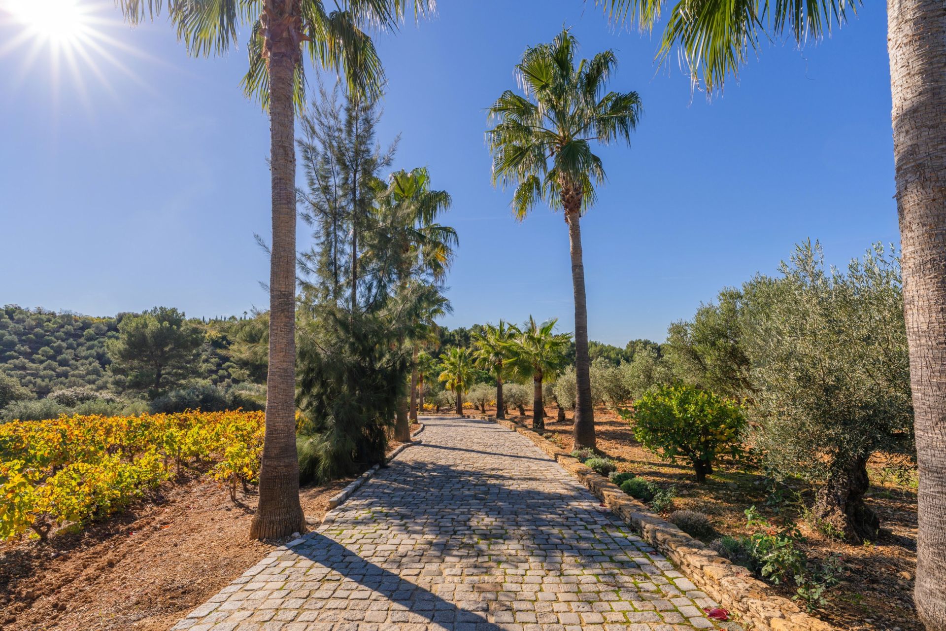 house 20 Rooms for sale on LE CASTELLET (83330)