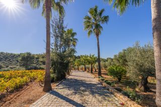 house 20 Rooms for sale on LE CASTELLET (83330)