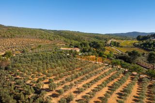 house 20 Rooms for sale on LE CASTELLET (83330)