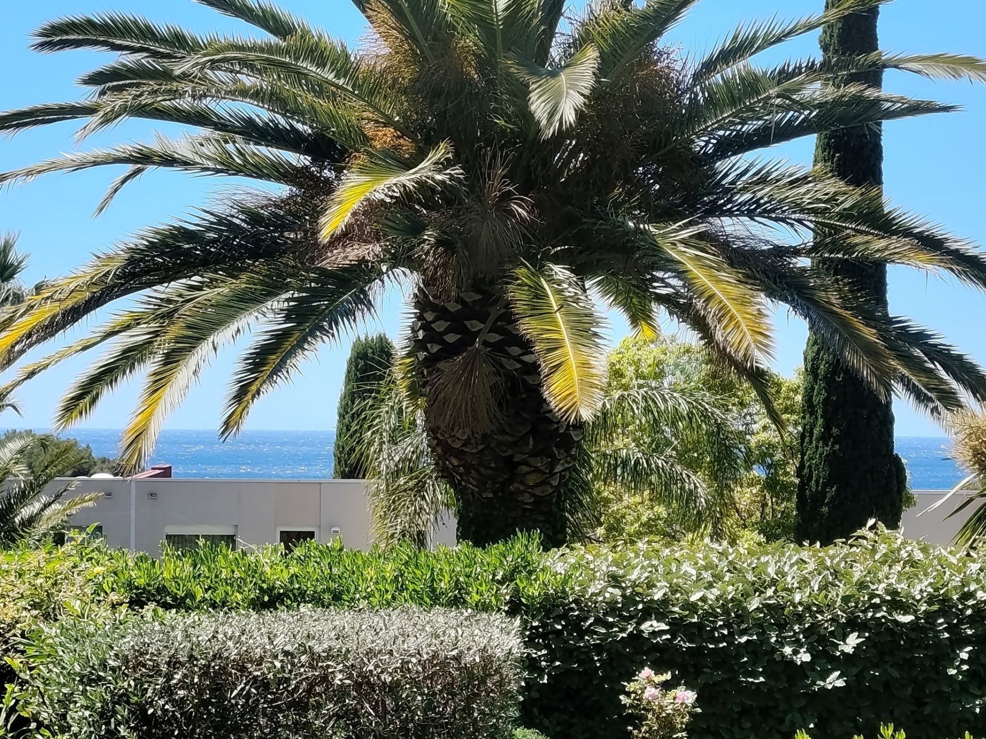 apartment 2 Rooms for sale on CASSIS (13260)