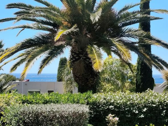 Vente Appartement Cassis 2&nbsp;Pièces 51&nbsp;m²