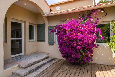 Rental House Cassis 5&nbsp;Rooms 129&nbsp;m²