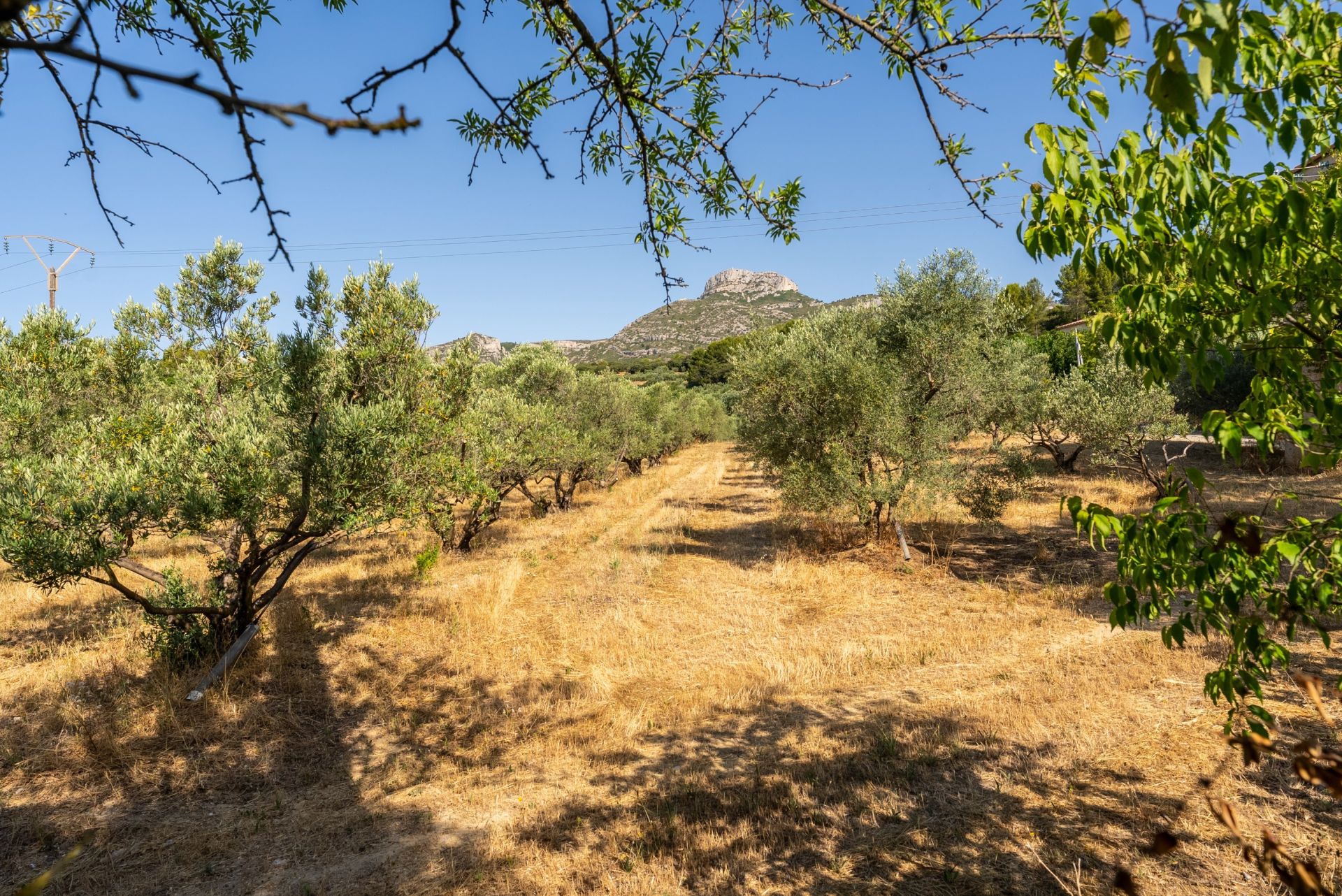 maison 5 Pièces en location sur AUBAGNE (13400)