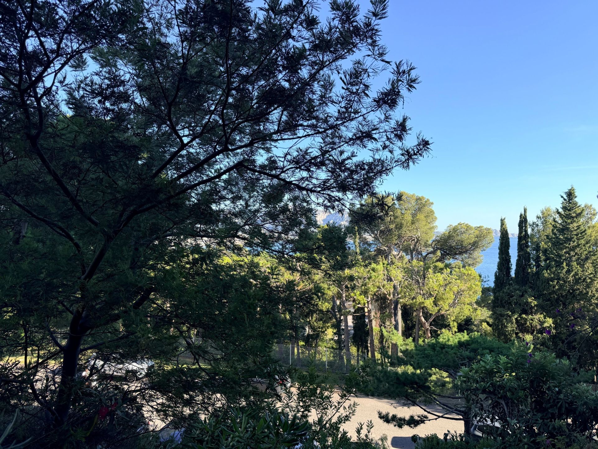 appartement 2 Pièces en location sur MARSEILLE (13007)