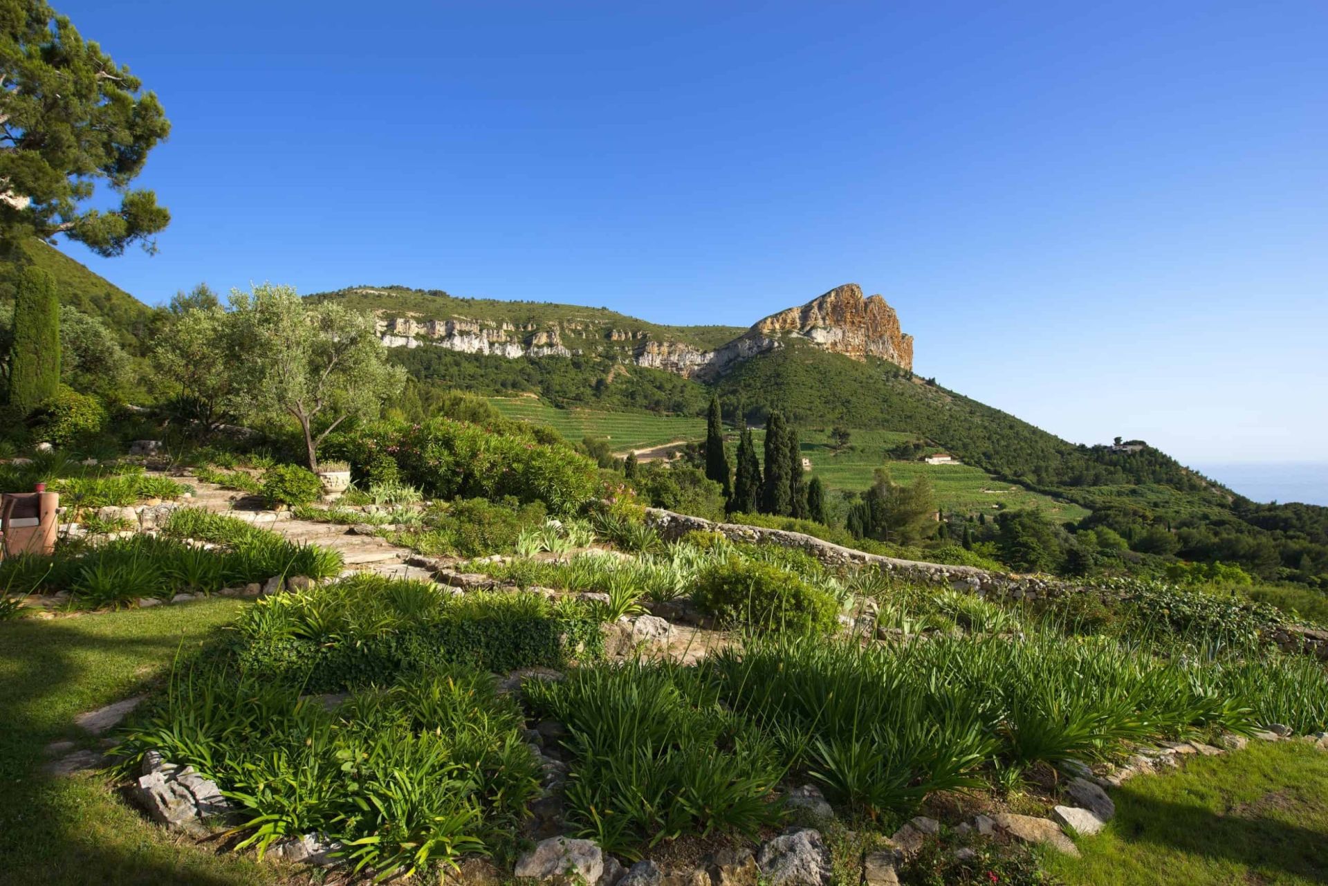 farmhouse 7 Rooms for seasonal rent on CASSIS (13260)