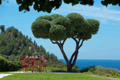 Rental Farmhouse Cassis 7 Rooms 350 m²