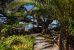 appartement 3 Pièces en vente sur PORQUEROLLES (83400)