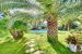 mansion 10 Rooms for sale on MARSEILLE (13008)