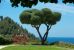 farmhouse 7 Rooms for seasonal rent on CASSIS (13260)