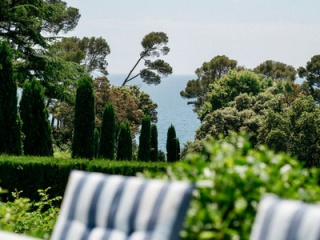 Local Expertise and Global Visibility