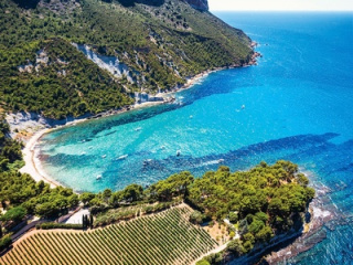 Expertise and Excellence